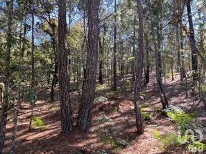 NEX-227103 - Terreno en Venta en Teopisca, CP 29410, Chiapas.