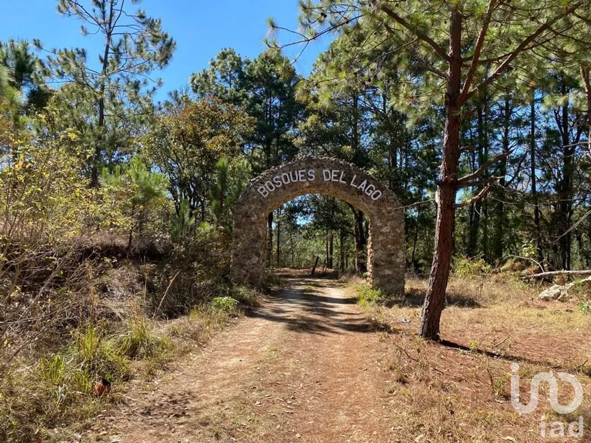 Terreno en Venta en Teopisca, Teopisca, Chiapas | NEX-227105 | iad México | Foto 3 de 10