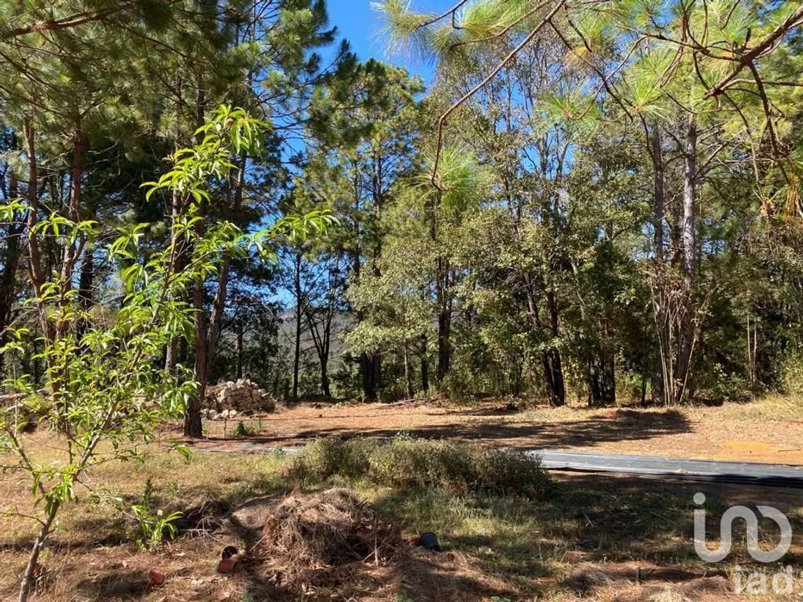 Terreno en Venta en Teopisca, Teopisca, Chiapas | NEX-227106 | iad México | Foto 3 de 10