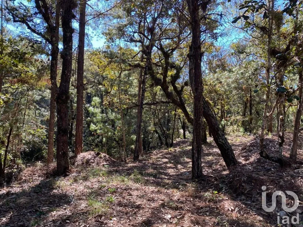 Terreno en Venta en Teopisca, Teopisca, Chiapas | NEX-227106 | iad México | Foto 6 de 10