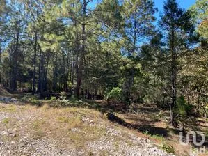 NEX-227106 - Terreno en Venta en Teopisca, CP 29410, Chiapas.