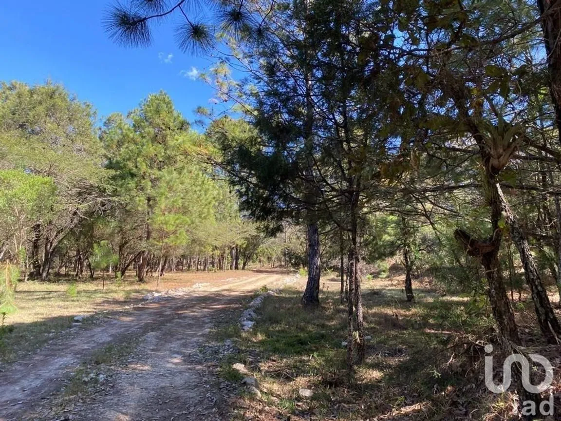 Terreno en Venta en Teopisca, Teopisca, Chiapas | NEX-227108 | iad México | Foto 4 de 6