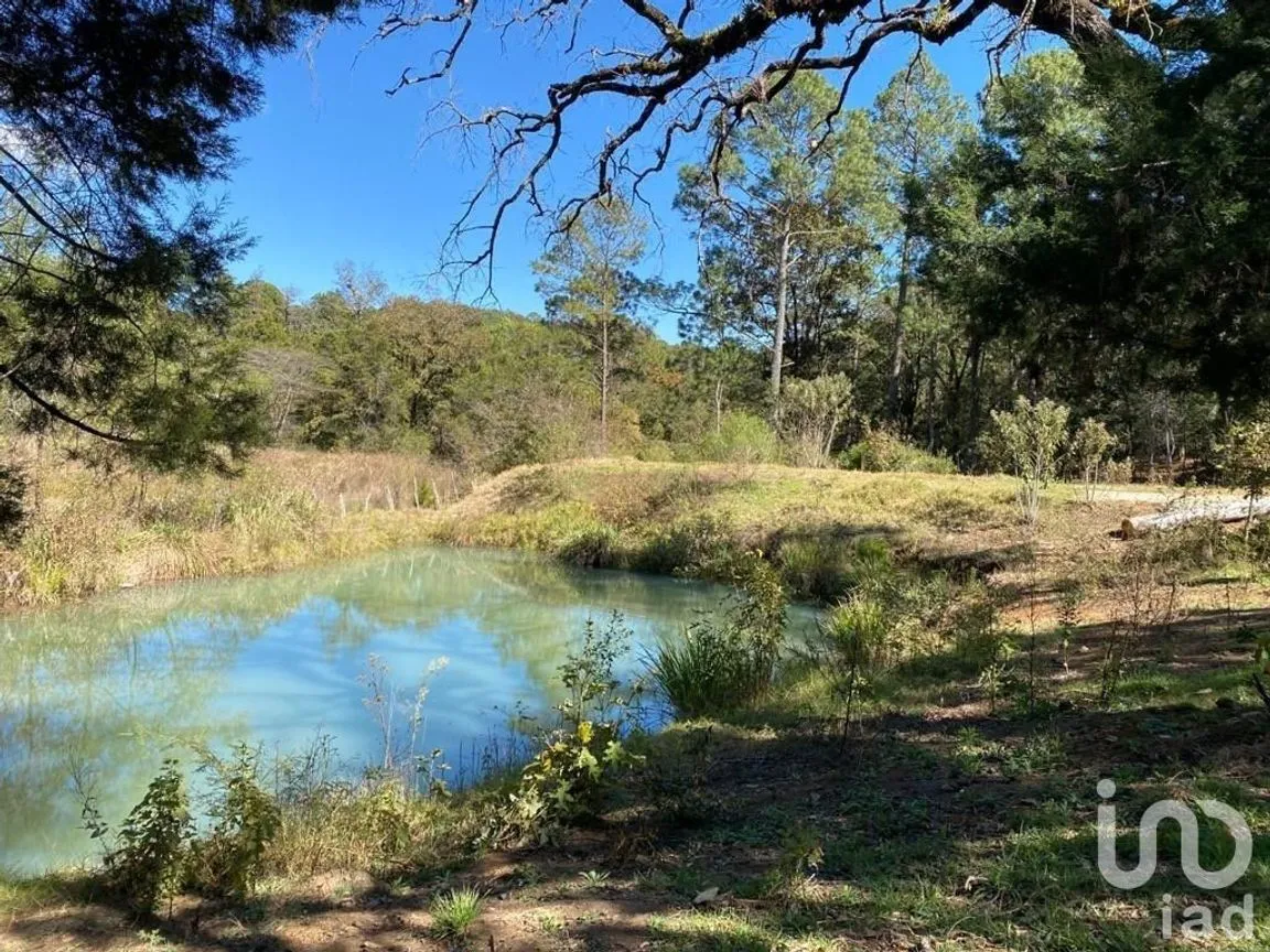 Terreno en Venta en Teopisca, Teopisca, Chiapas | NEX-227109 | iad México | Foto 4 de 6