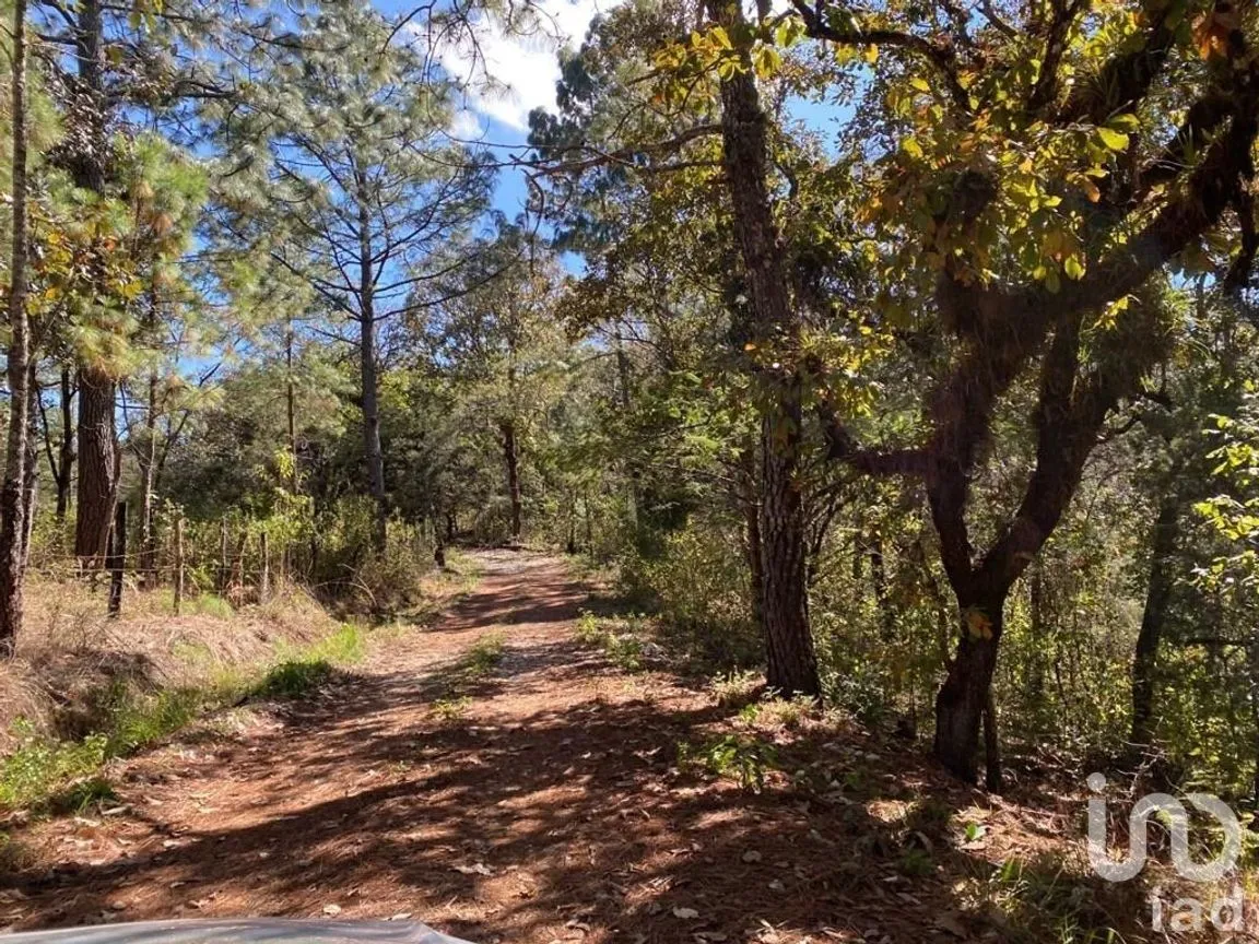 Terreno en Venta en Teopisca, Teopisca, Chiapas | NEX-227109 | iad México | Foto 1 de 6