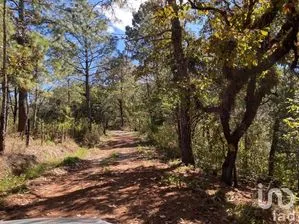 NEX-227109 - Terreno en Venta en Teopisca, CP 29410, Chiapas.