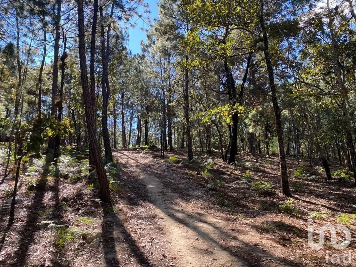 Terreno en Venta en Teopisca, Teopisca, Chiapas | NEX-227113 | iad México | Foto 4 de 7