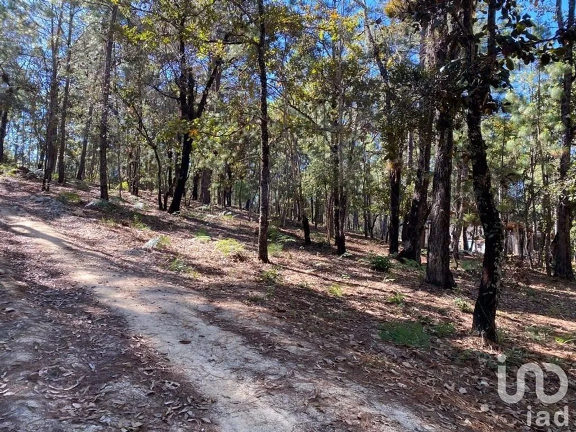 Terreno en Venta en Teopisca, Teopisca, Chiapas | NEX-227114 | iad México | Foto 1 de 5