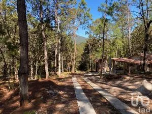 NEX-227115 - Terreno en Venta en Teopisca, CP 29410, Chiapas.