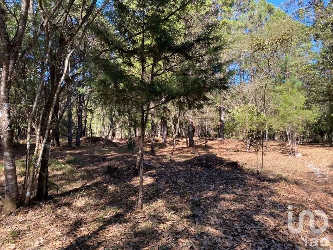 Terreno en Venta en Teopisca, Teopisca, Chiapas | NEX-227117 | iad México | Foto 4 de 6