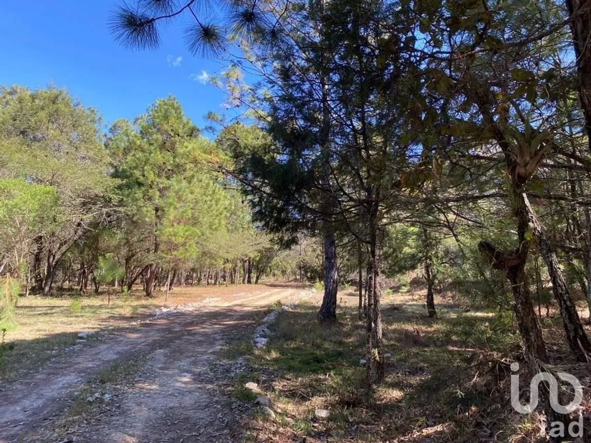 Terreno en Venta en Teopisca, Teopisca, Chiapas | NEX-227118 | iad México | Foto 6 de 6
