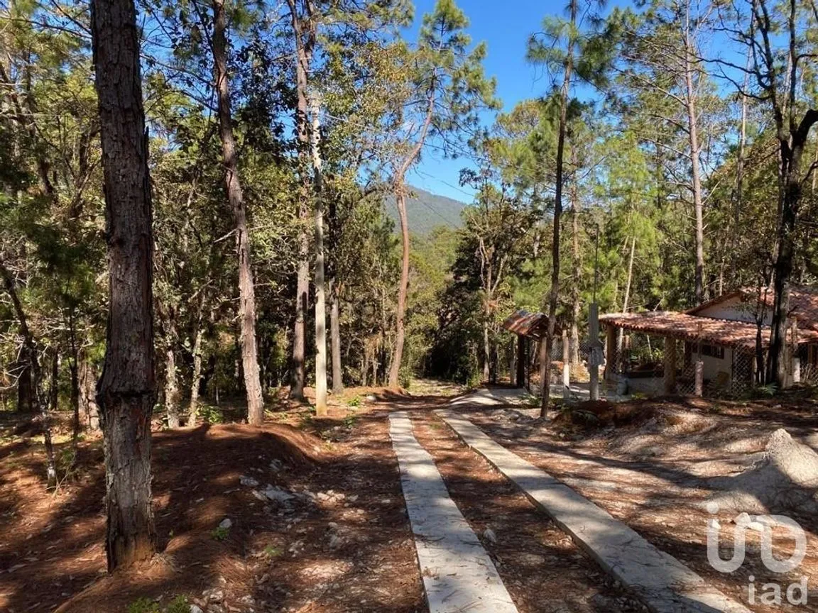 Terreno en Venta en Teopisca, Teopisca, Chiapas | NEX-227119 | iad México | Foto 5 de 5