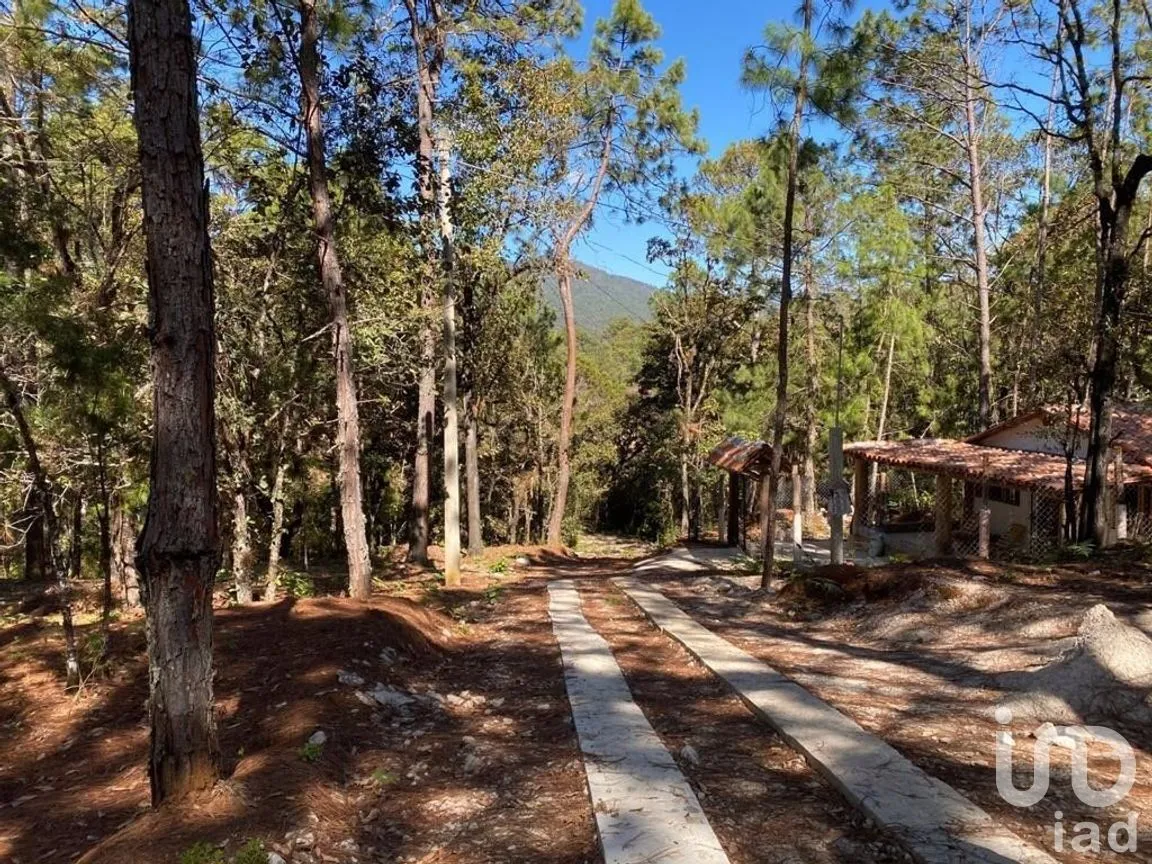 Terreno en Venta en Teopisca, Teopisca, Chiapas | NEX-227120 | iad México | Foto 4 de 5