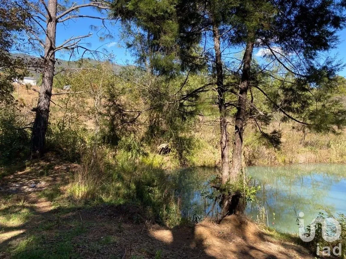 Terreno en Venta en Teopisca, Teopisca, Chiapas | NEX-227122 | iad México | Foto 2 de 6