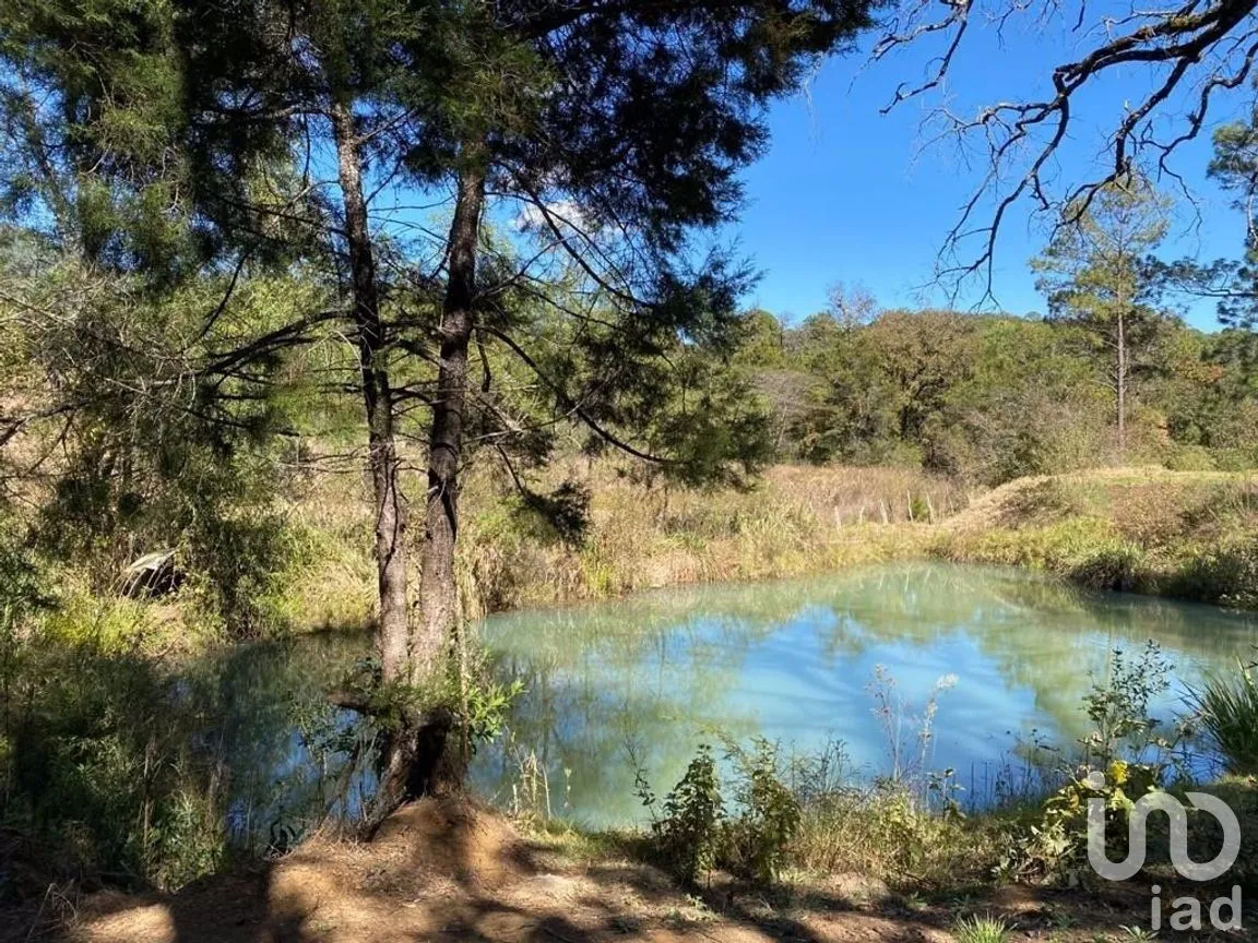 Terreno en Venta en Teopisca, Teopisca, Chiapas | NEX-227122 | iad México | Foto 3 de 6