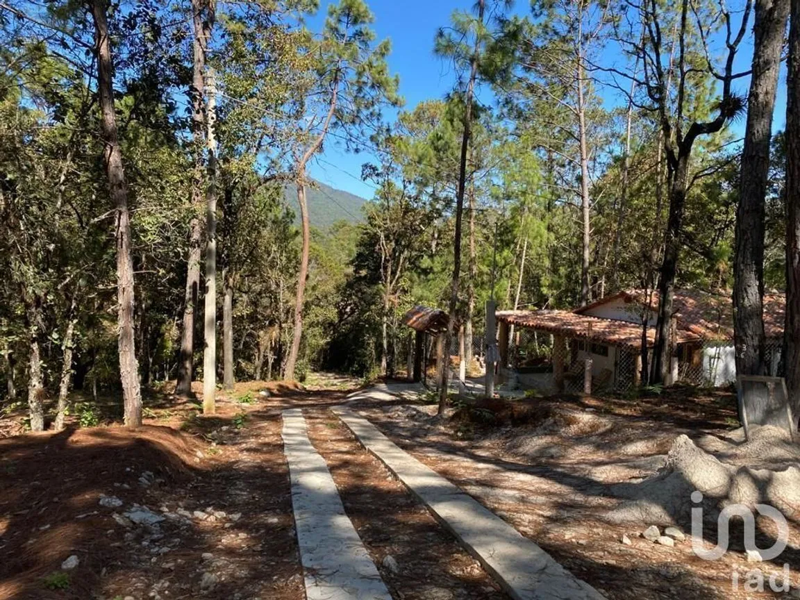 Terreno en Venta en Teopisca, Teopisca, Chiapas | NEX-227123 | iad México | Foto 6 de 9