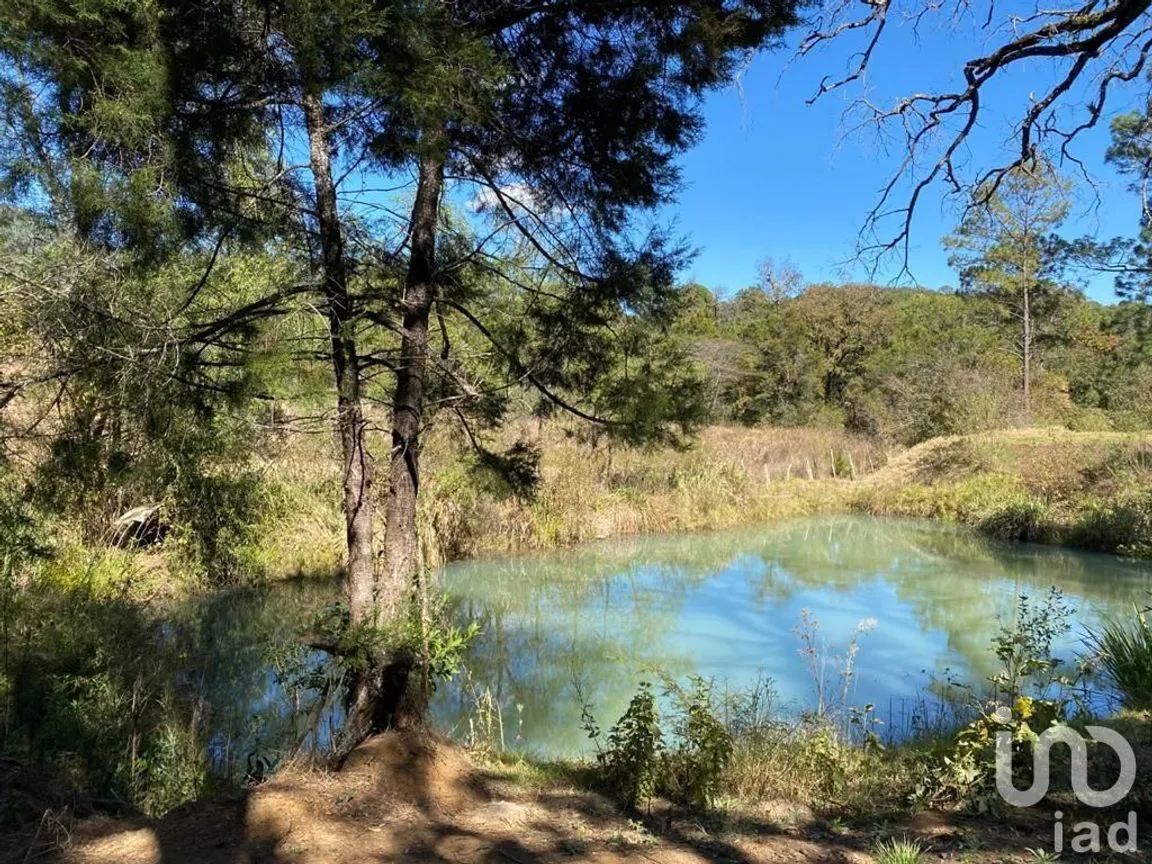 Terreno en Venta en Teopisca, Teopisca, Chiapas | NEX-227124 | iad México | Foto 6 de 9