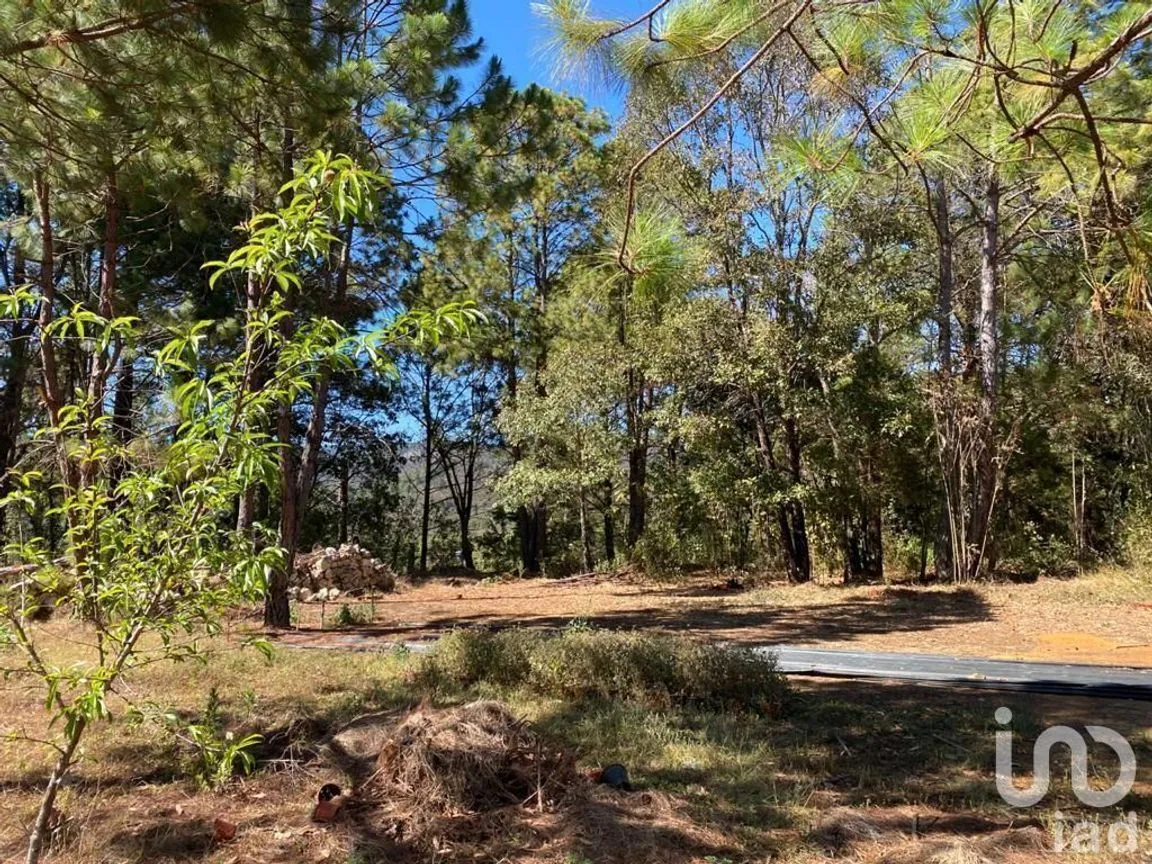 Terreno en Venta en Teopisca, Teopisca, Chiapas | NEX-227126 | iad México | Foto 8 de 9
