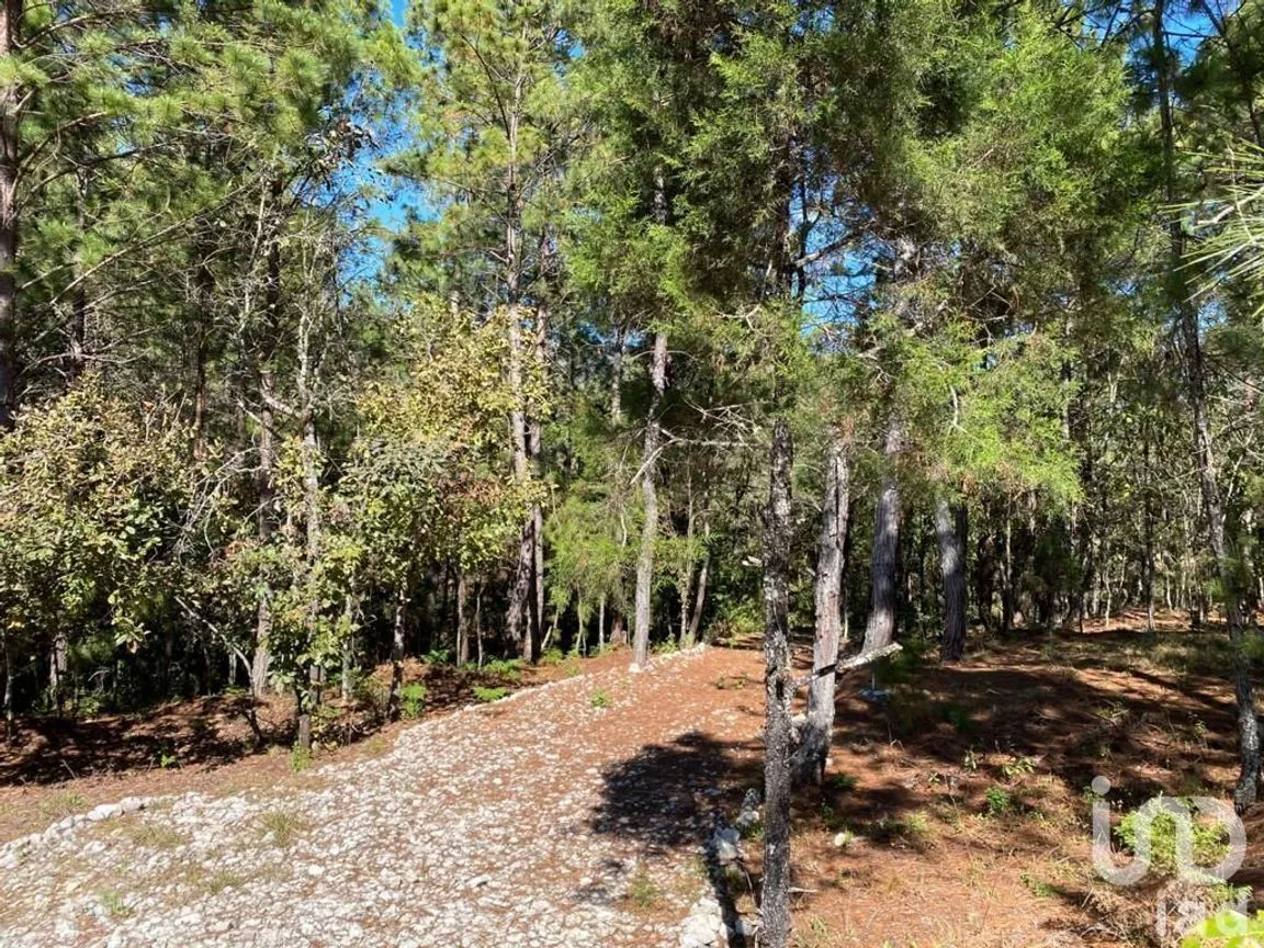 Terreno en Venta en Teopisca, Teopisca, Chiapas | NEX-227127 | iad México | Foto 9 de 9