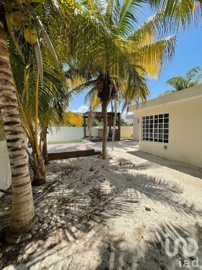 Casa en Venta en Chicxulub Puerto, Progreso, Yucatán | NEX-229945 | iad México | Foto 8 de 27