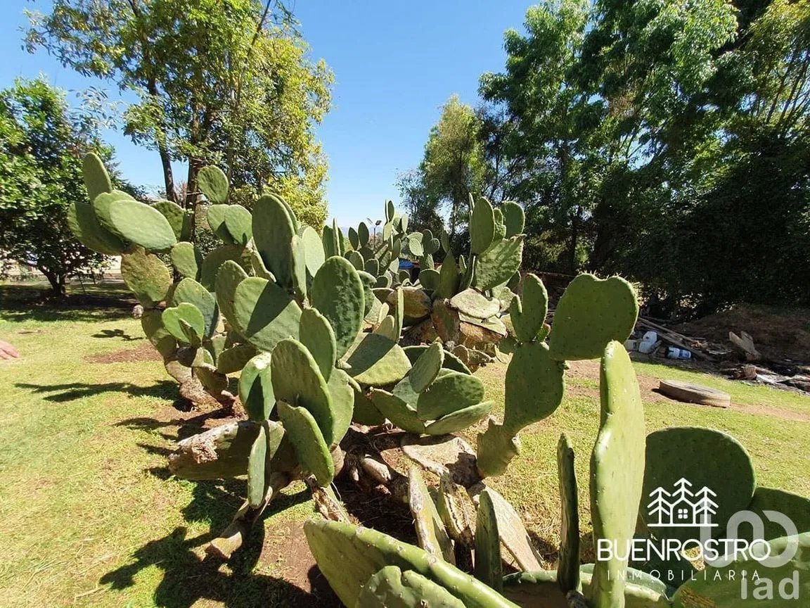 Casa en Renta en Cerro Gordo, Valle de Bravo, Estado De México | NEX-202428 | iad México | Foto 34 de 34