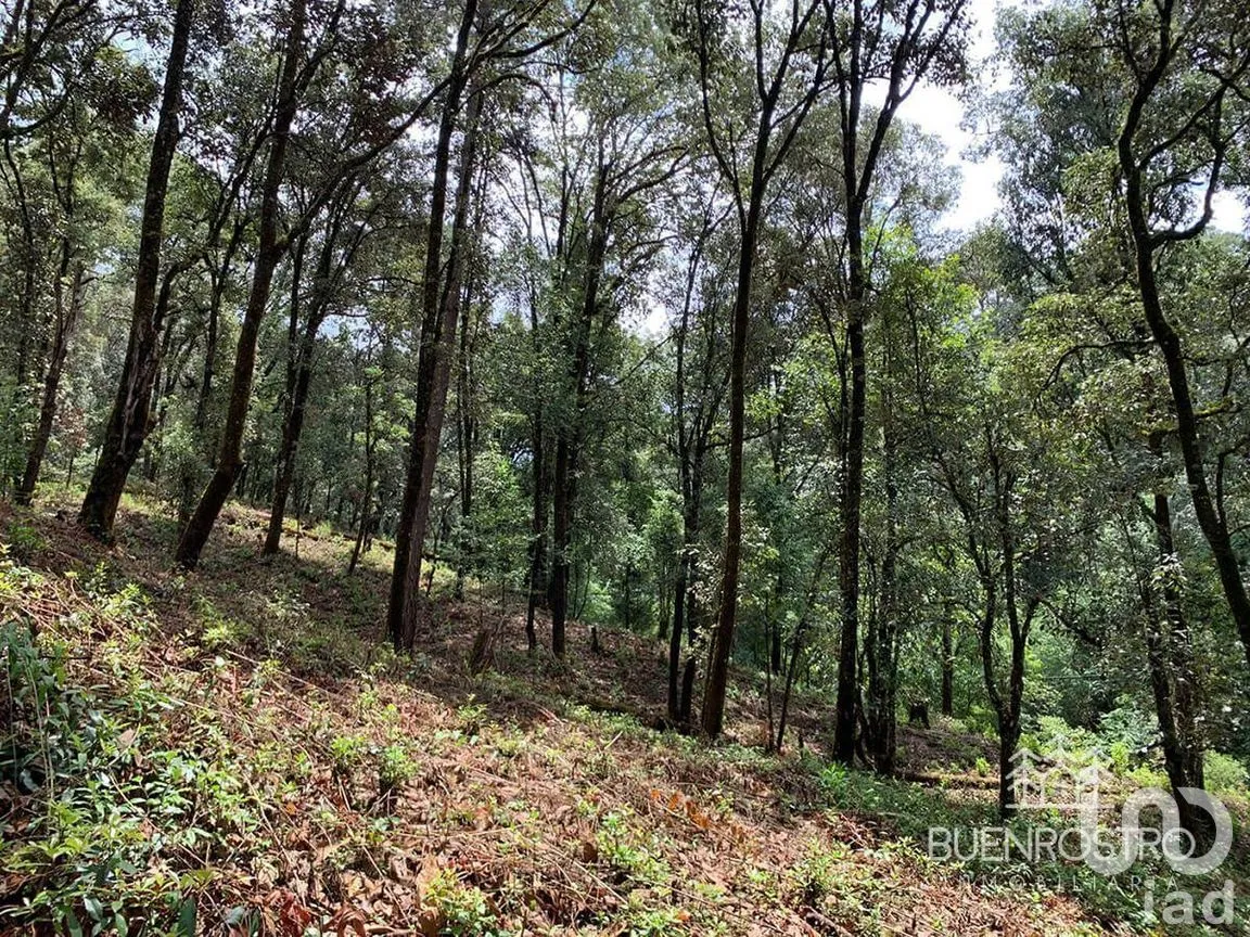 Terreno en Venta en San Simón el Alto, Valle de Bravo, Estado De México | NEX-227245 | iad México | Foto 2 de 11
