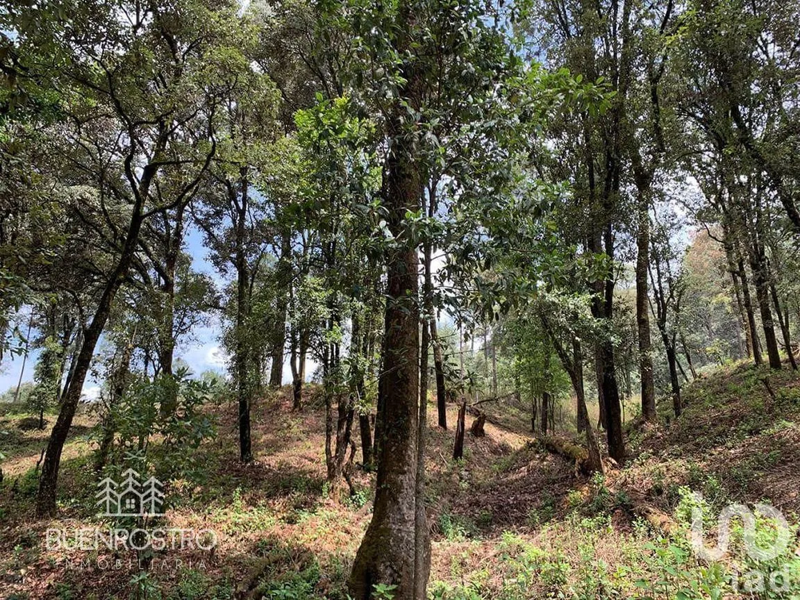 Terreno en Venta en San Simón el Alto, Valle de Bravo, Estado De México | NEX-227245 | iad México | Foto 3 de 11