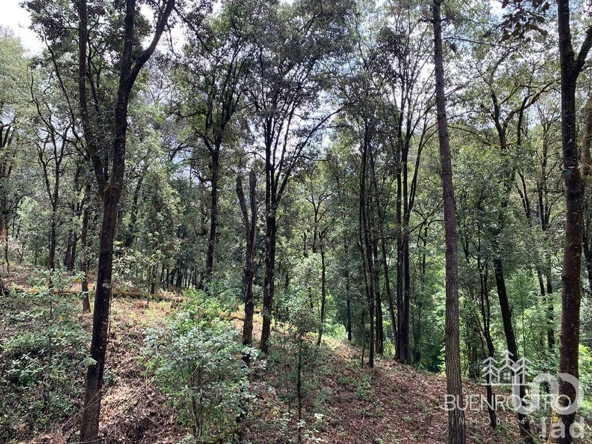 Terreno en Venta en San Simón el Alto, Valle de Bravo, Estado De México | NEX-227245 | iad México | Foto 4 de 11