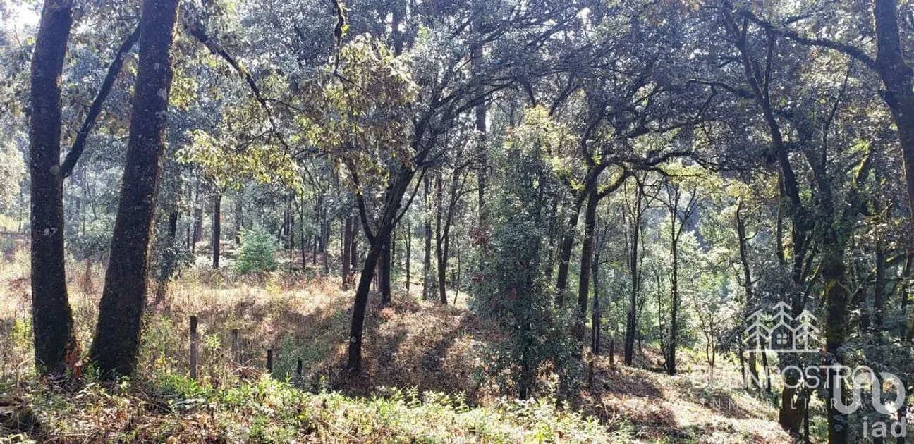 Terreno en Venta en San Simón el Alto, Valle de Bravo, Estado De México | NEX-227245 | iad México | Foto 5 de 11