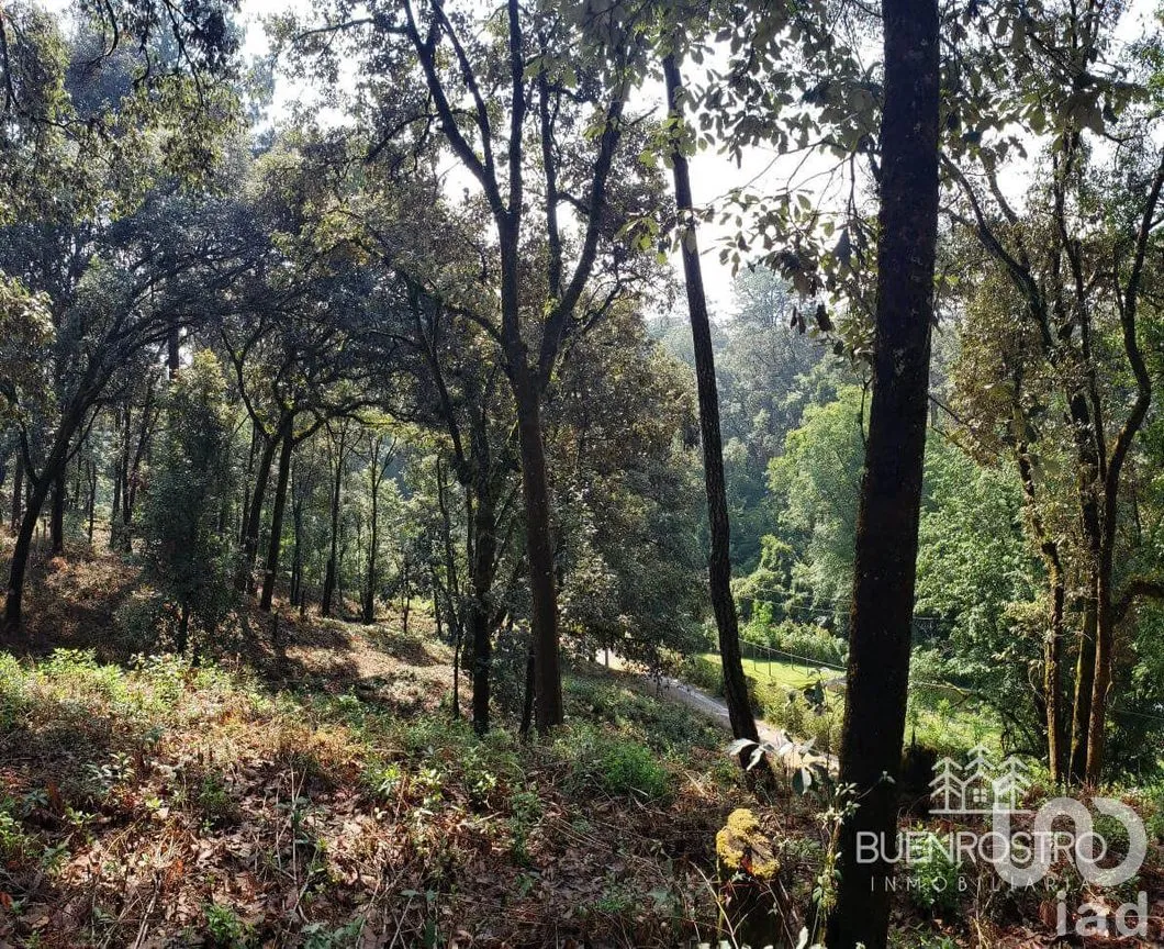 Terreno en Venta en San Simón el Alto, Valle de Bravo, Estado De México | NEX-227245 | iad México | Foto 6 de 11