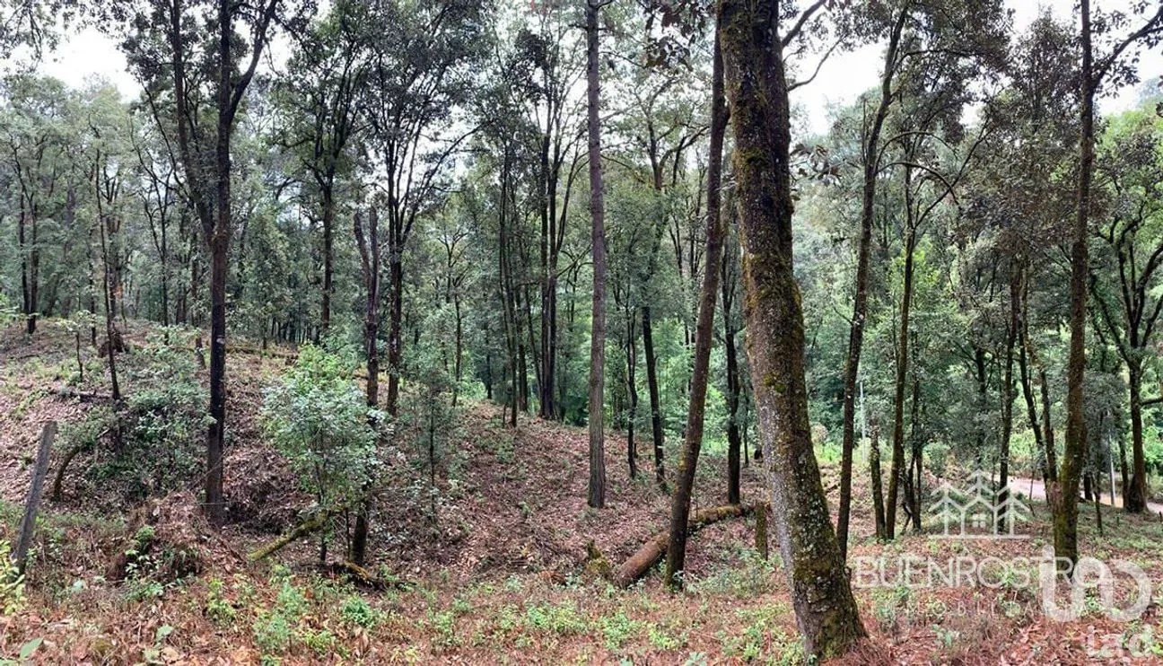 Terreno en Venta en San Simón el Alto, Valle de Bravo, Estado De México | NEX-227245 | iad México | Foto 7 de 11