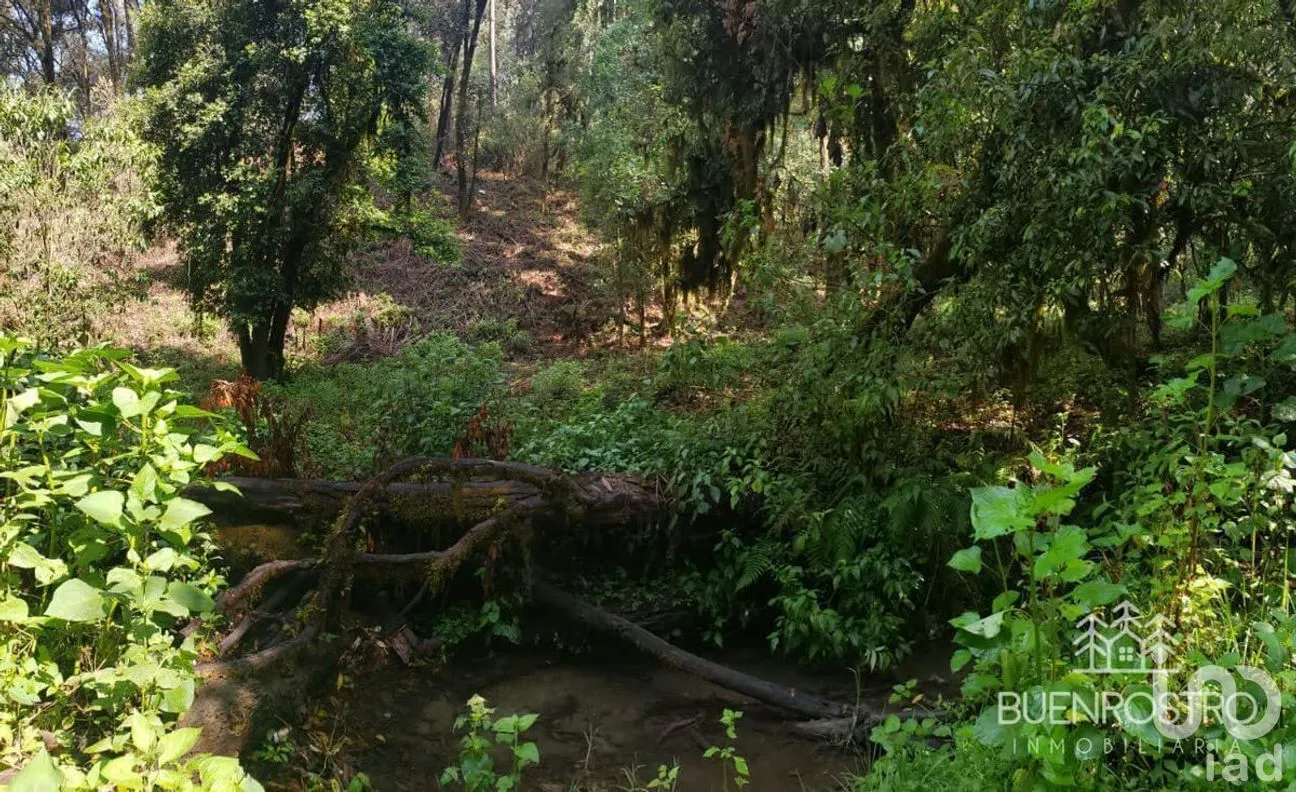 Terreno en Venta en San Simón el Alto, Valle de Bravo, Estado De México | NEX-227245 | iad México | Foto 8 de 11