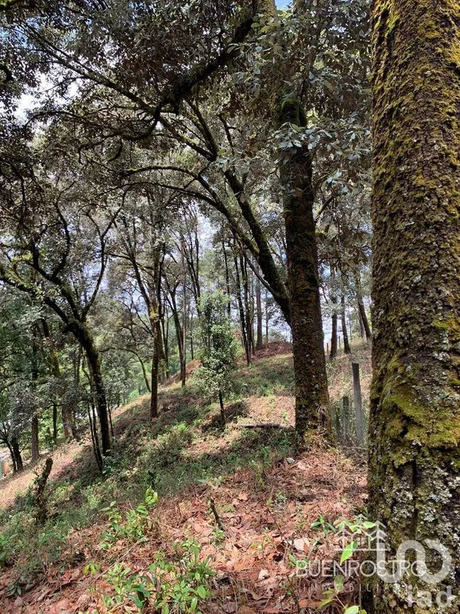 Terreno en Venta en San Simón el Alto, Valle de Bravo, Estado De México | NEX-227245 | iad México | Foto 9 de 11
