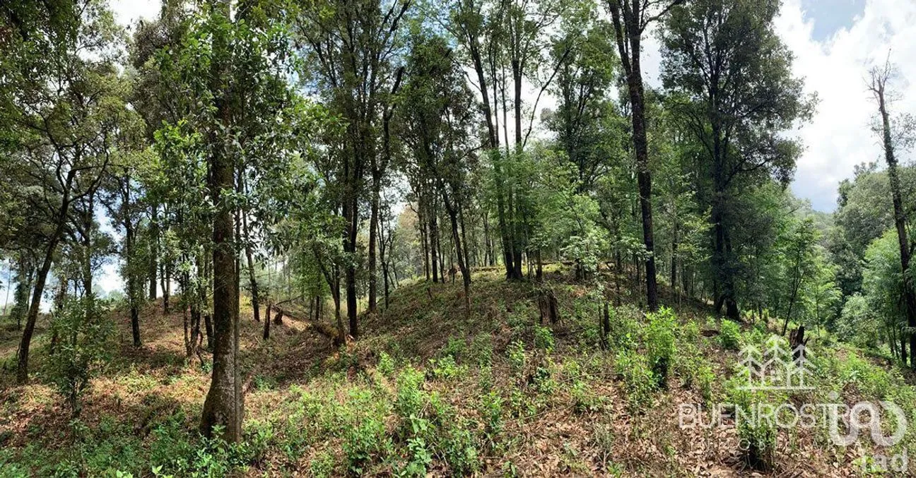 Terreno en Venta en San Simón el Alto, Valle de Bravo, Estado De México | NEX-227245 | iad México | Foto 1 de 11