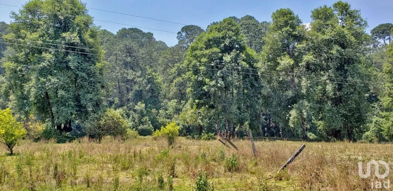 Terreno en Venta en San Simón el Alto, Valle de Bravo, Estado De México | NEX-227246 | iad México | Foto 2 de 6