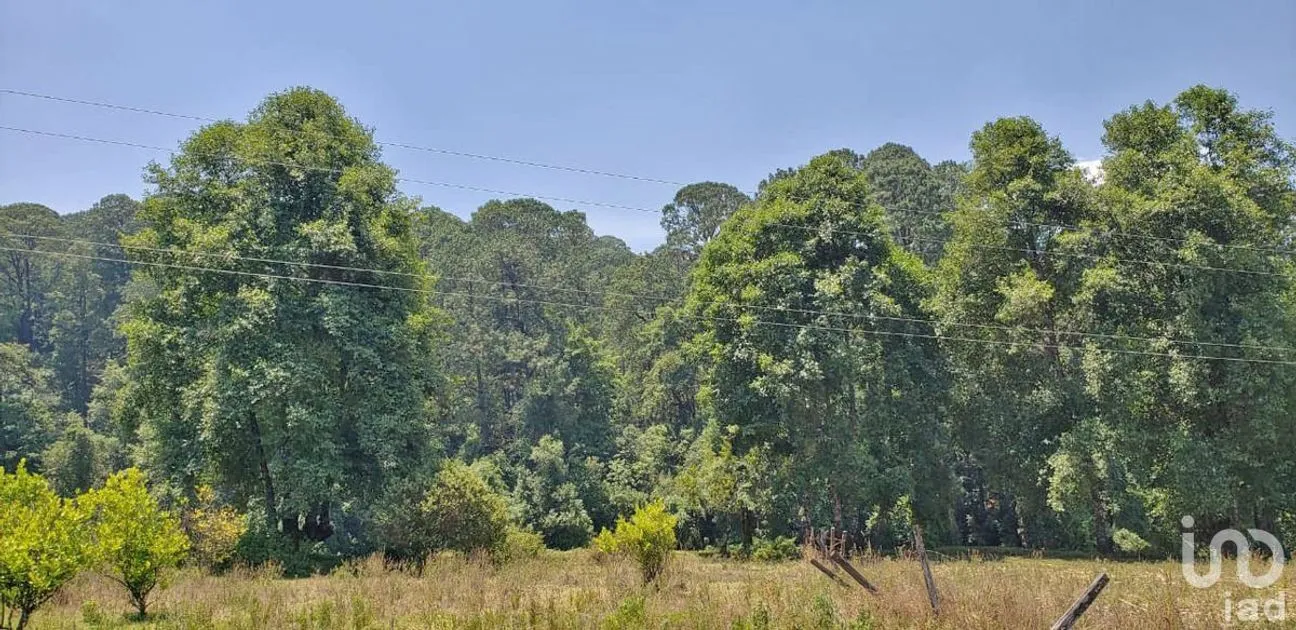 Terreno en Venta en San Simón el Alto, Valle de Bravo, Estado De México | NEX-227246 | iad México | Foto 3 de 6