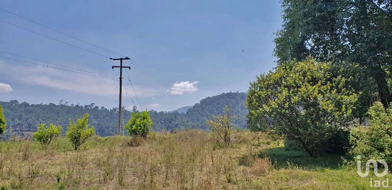 Terreno en Venta en San Simón el Alto, Valle de Bravo, Estado De México | NEX-227246 | iad México | Foto 5 de 6