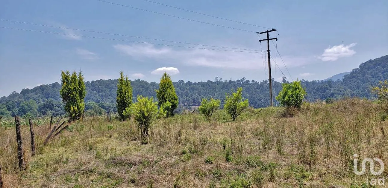 Terreno en Venta en San Simón el Alto, Valle de Bravo, Estado De México | NEX-227246 | iad México | Foto 6 de 6