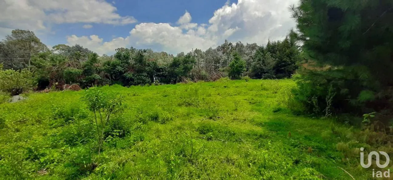 Terreno en Venta en Valle de Bravo, Valle de Bravo, Estado De México | NEX-227247 | iad México | Foto 2 de 7