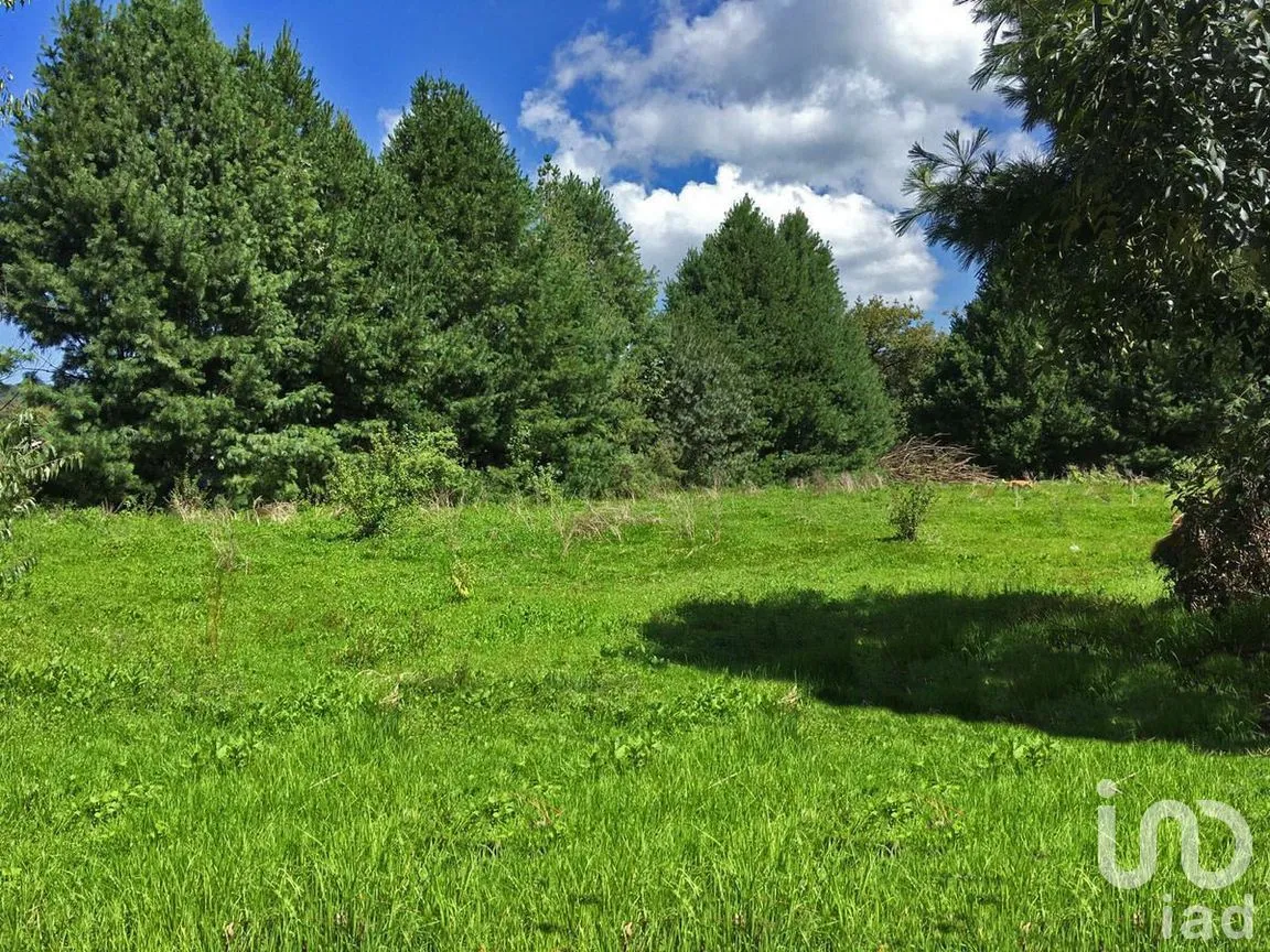 Terreno en Venta en Valle de Bravo, Valle de Bravo, Estado De México | NEX-227247 | iad México | Foto 3 de 7