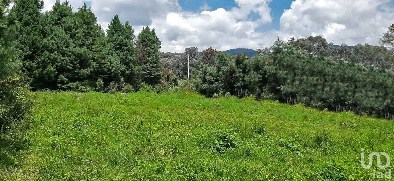 Terreno en Venta en Valle de Bravo, Valle de Bravo, Estado De México | NEX-227247 | iad México | Foto 4 de 7