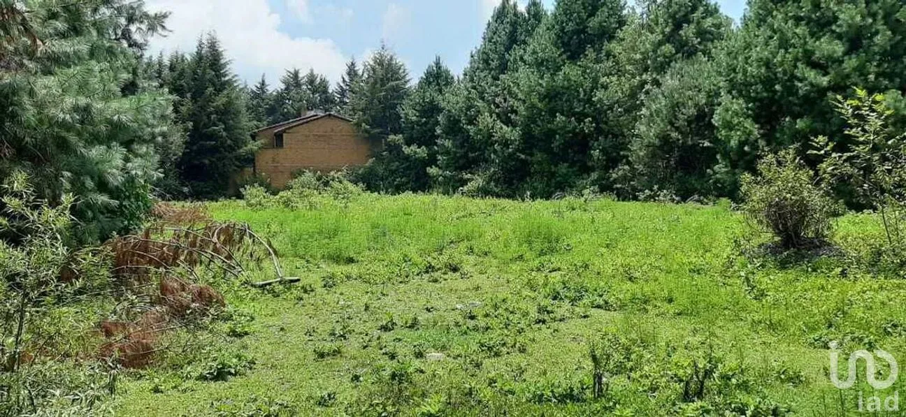Terreno en Venta en Valle de Bravo, Valle de Bravo, Estado De México | NEX-227247 | iad México | Foto 5 de 7