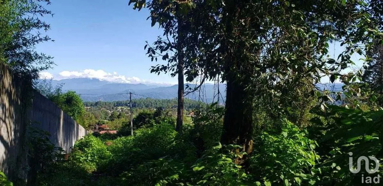 Terreno en Venta en Cerro Gordo, Valle de Bravo, Estado De México | NEX-227253 | iad México | Foto 3 de 9