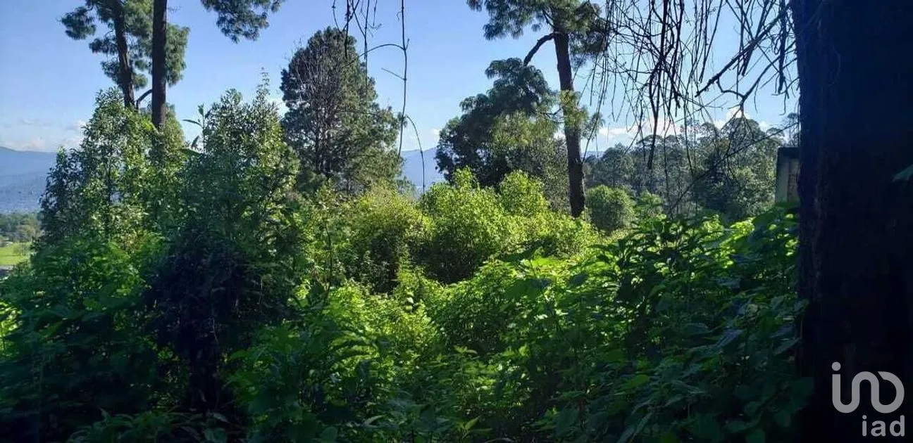 Terreno en Venta en Cerro Gordo, Valle de Bravo, Estado De México | NEX-227253 | iad México | Foto 4 de 9