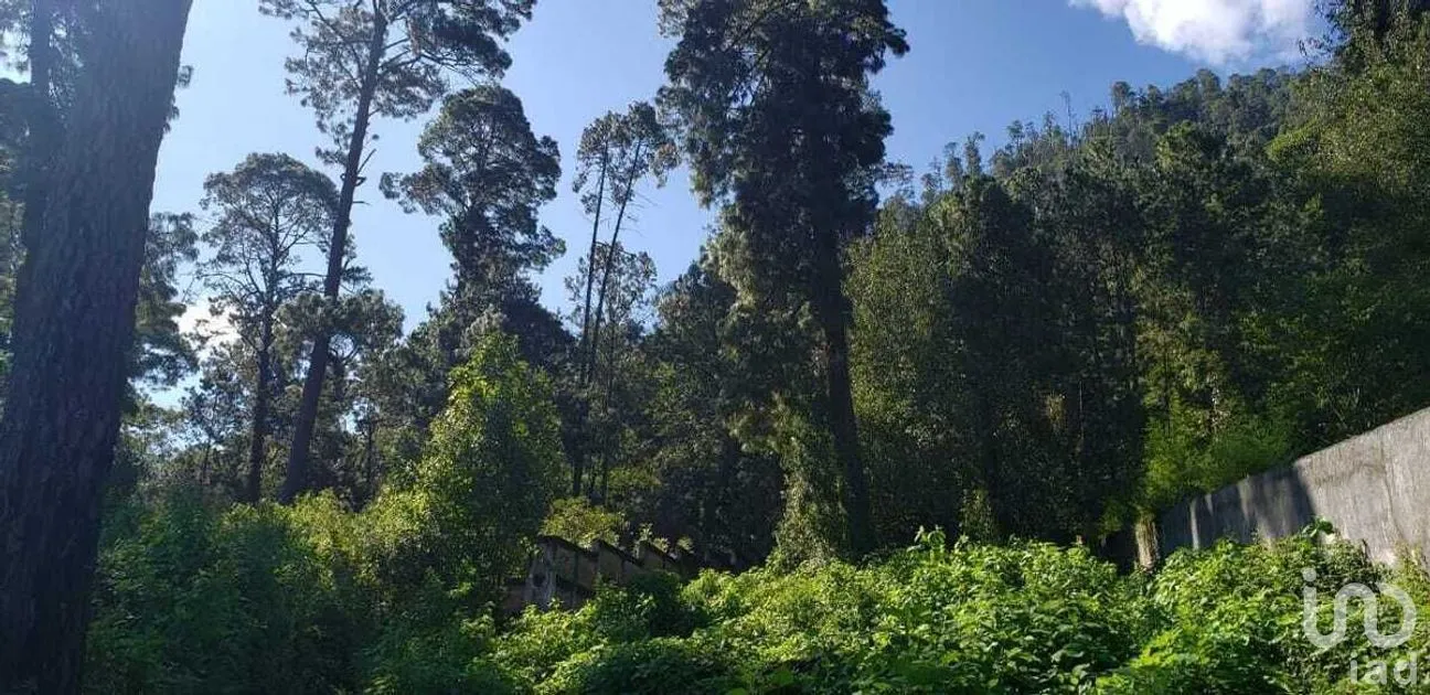 Terreno en Venta en Cerro Gordo, Valle de Bravo, Estado De México | NEX-227253 | iad México | Foto 5 de 9