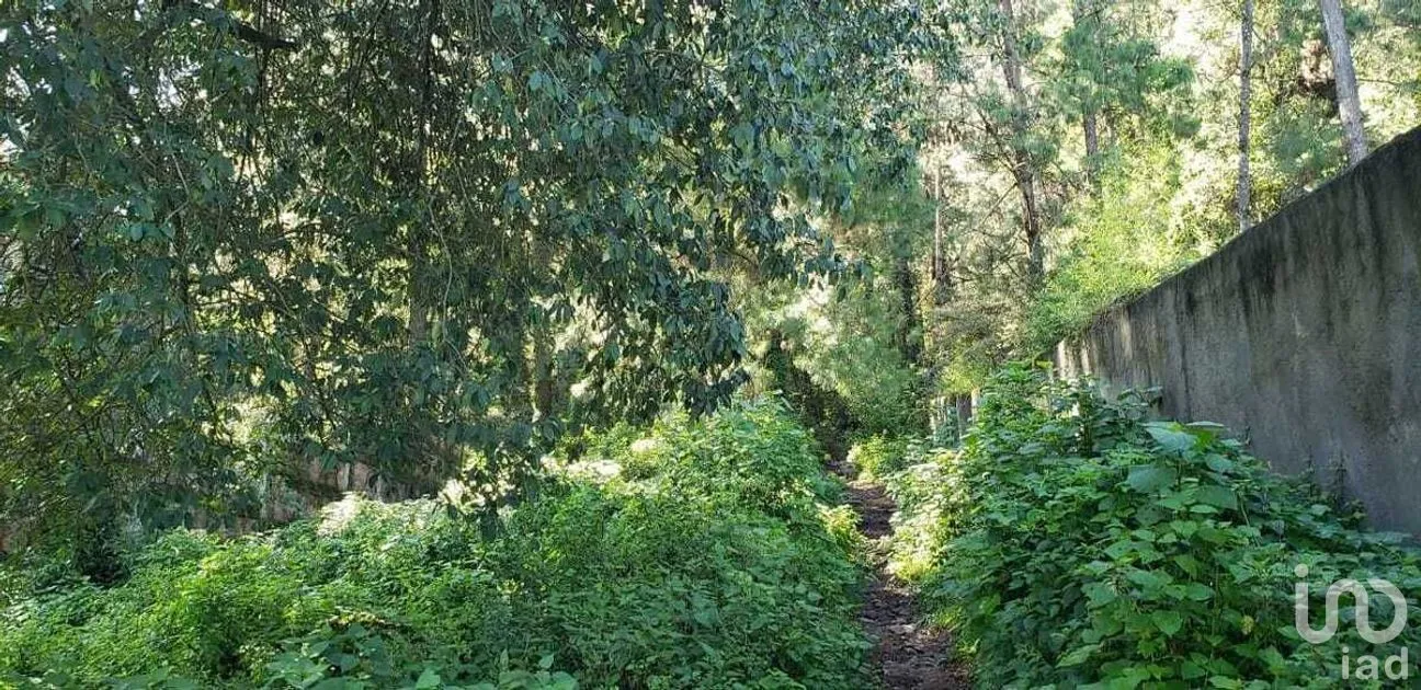 Terreno en Venta en Cerro Gordo, Valle de Bravo, Estado De México | NEX-227253 | iad México | Foto 6 de 9