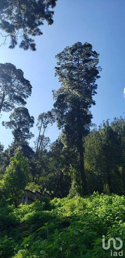 Terreno en Venta en Cerro Gordo, Valle de Bravo, Estado De México | NEX-227253 | iad México | Foto 8 de 9