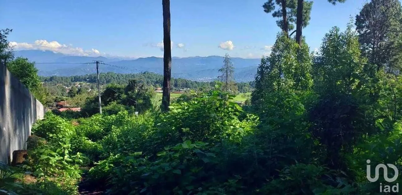 Terreno en Venta en Cerro Gordo, Valle de Bravo, Estado De México | NEX-227253 | iad México | Foto 1 de 9