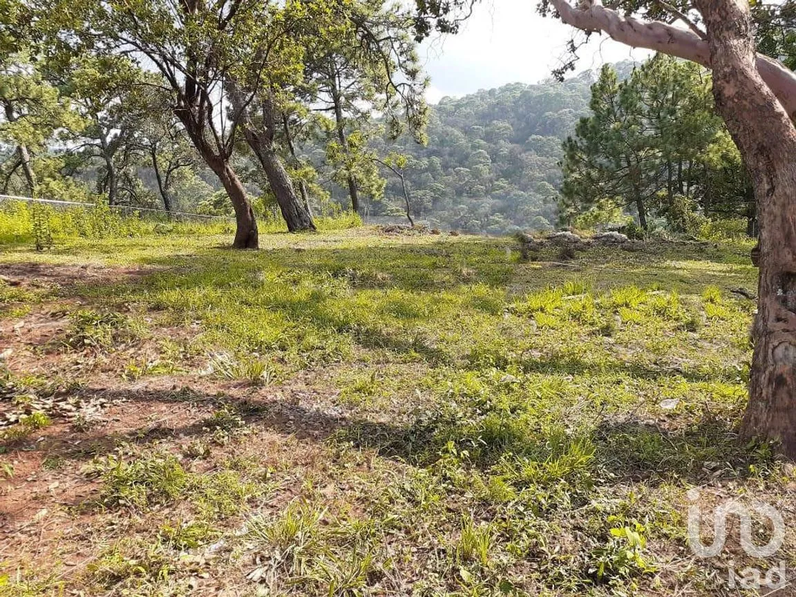 Terreno en Venta en Avándaro, Valle de Bravo, Estado De México | NEX-227254 | iad México | Foto 2 de 6