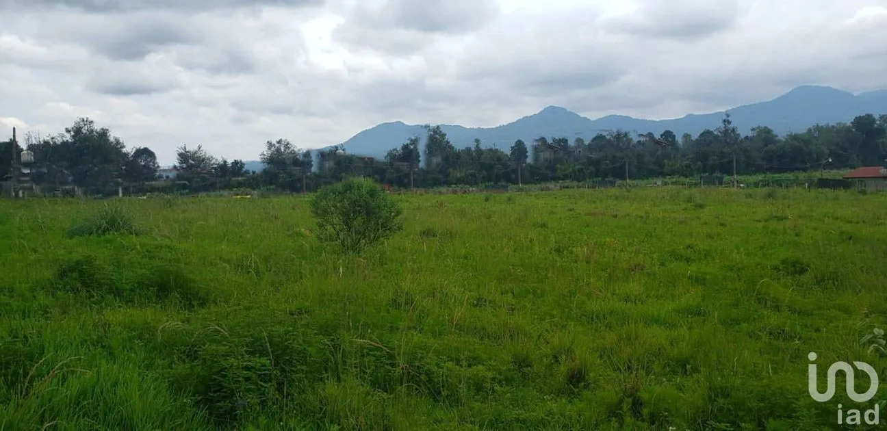 Terreno en Venta en Cuadrilla de Dolores, Valle de Bravo, Estado De México | NEX-227255 | iad México | Foto 2 de 8