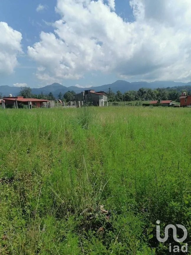 Terreno en Venta en Cuadrilla de Dolores, Valle de Bravo, Estado De México | NEX-227255 | iad México | Foto 4 de 8